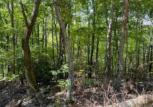 Photo 4 of Land for sale at Lot G-43 Odalu Trl #G43, Maggie Valley, NC 28751 | MLS# 4192150 | Listing updated on 2026-04-17