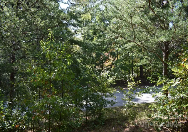 Photo 2 of Land for sale at 0 Holland Dr #3, Columbus, NC 28722 | MLS# 4192282 | Listing updated on 2026-10-14