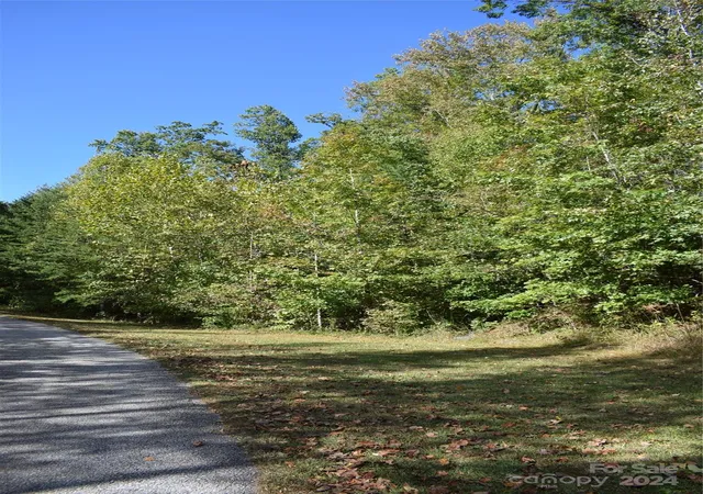 Photo 3 of Land for sale at 0 Holland Dr #3, Columbus, NC 28722 | MLS# 4192282 | Listing updated on 2026-10-14