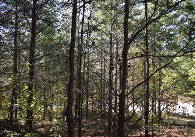 Photo 3 of Land for sale at 0 Holland Dr #3, Columbus, NC 28722 | MLS# 4192282 | Listing updated on 2026-10-14
