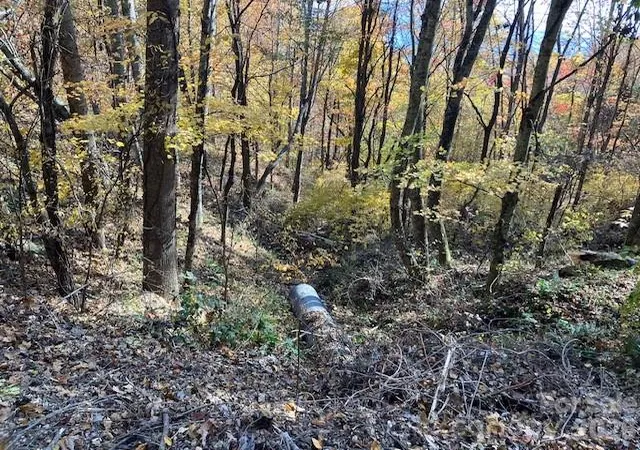 Photo 4 of Land for sale at 00 Wahwah Way #17, Waynesville, NC 28785 | MLS# 4193844 | Listing updated on 2026-09-25