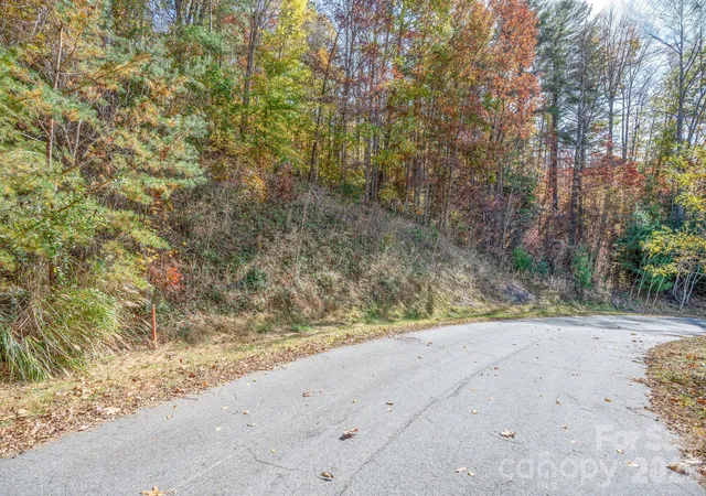 Photo 4 of Land for sale at 66 Hawtree Ct #266, Weaverville, NC 28787 | MLS# 4195339 | Listing updated on 2026-08-24