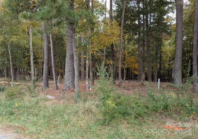 Photo 3 of Land for sale at 3447 Acres Spratt Rd, York, SC 29745 | MLS# 4195833 | Listing updated on 2026-08-28