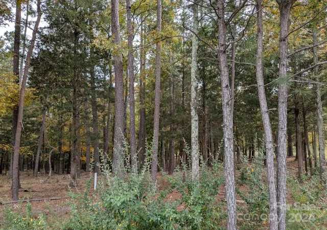 Photo 3 of Land for sale at 3447 Acres Spratt Rd, York, SC 29745 | MLS# 4195833 | Listing updated on 2026-08-28