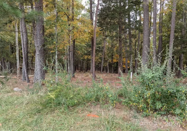 Photo 4 of Land for sale at 3447 Acres Spratt Rd, York, SC 29745 | MLS# 4195833 | Listing updated on 2026-08-28