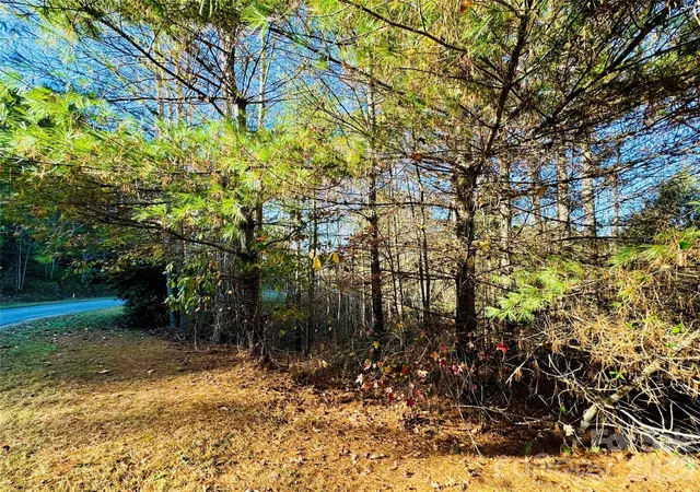 4th image of 609 Acres Lot 136/137 Johns Ridge Pkwy #136/137, Lenoir, NC 28645 | MLS# 4196879