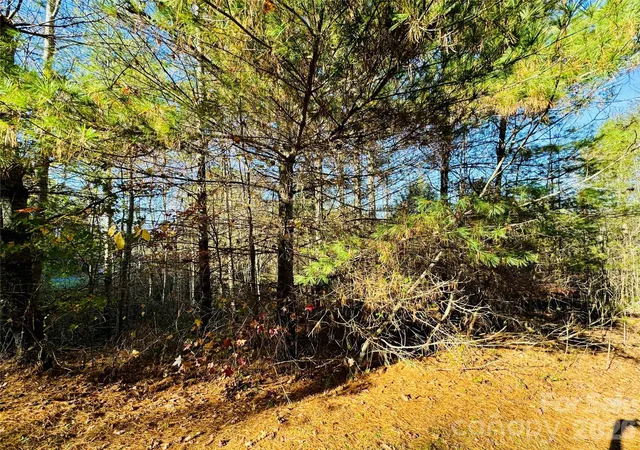 5th image of 609 Acres Lot 136/137 Johns Ridge Pkwy #136/137, Lenoir, NC 28645 | MLS# 4196879
