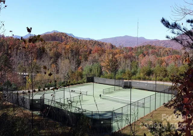 12th image of 0 Willow Top Ln #311, Lake Lure, NC 28746 | MLS# 4197864