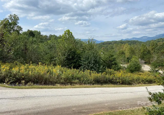 2nd image of 0 Willow Top Ln #311, Lake Lure, NC 28746 | MLS# 4197864