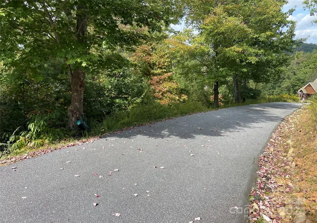 3rd image of 0 Willow Top Ln #311, Lake Lure, NC 28746 | MLS# 4197864