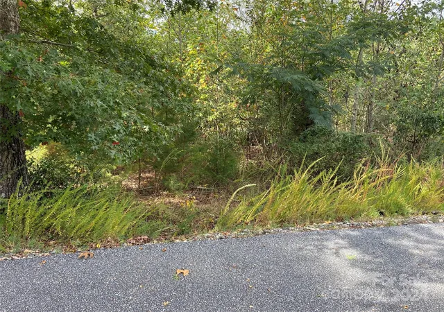 4th image of 0 Willow Top Ln #311, Lake Lure, NC 28746 | MLS# 4197864