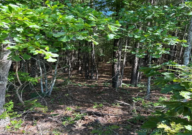Photo 3 of Land for sale at 00 Columbus Rd #7, Rembert, SC 29128 | MLS# 4198381 | Listing updated on 2026-04-15