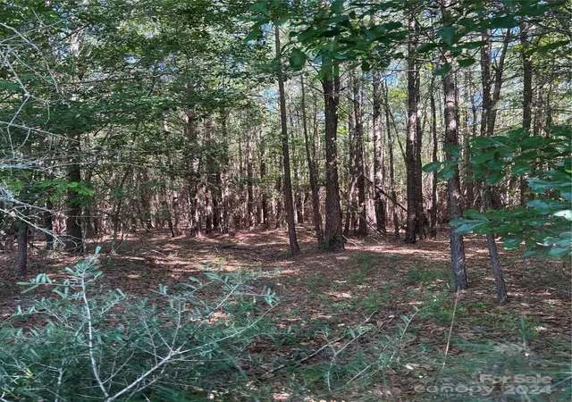 Photo 4 of Land for sale at 00 Columbus Rd #7, Rembert, SC 29128 | MLS# 4198381 | Listing updated on 2026-04-15