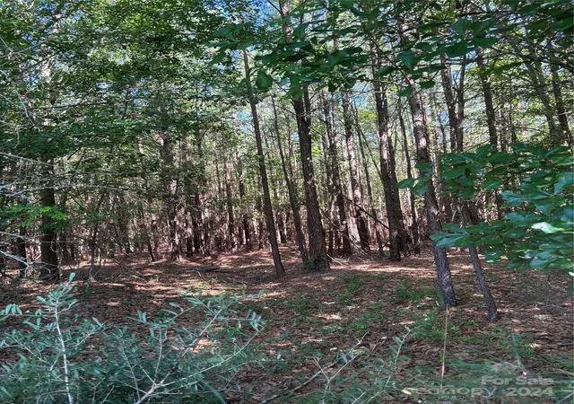 Photo 3 of Land for sale at 000 Columbus Rd #8, Rembert, SC 29128 | MLS# 4198383 | Listing updated on 2026-04-15