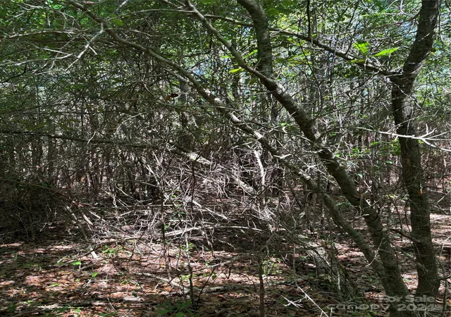 Photo 8 of Land for sale at 000 Columbus Rd #8, Rembert, SC 29128 | MLS# 4198383 | Listing updated on 2026-04-15