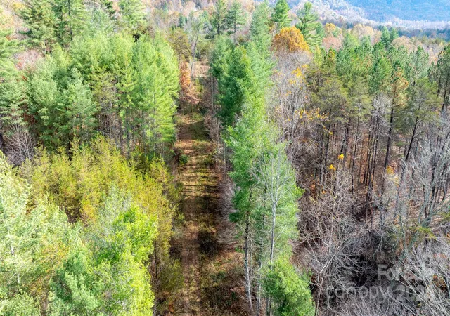 Photo 4 of Land for sale at Tbd Wilkerson Way, Marion, NC 28752 | MLS# 4199522 | Listing updated on 2025-11-17