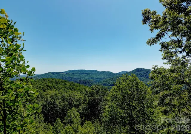 2nd image of 99999 Black Bear Ridge Trl, Zirconia, NC 28790 | MLS# 4200434