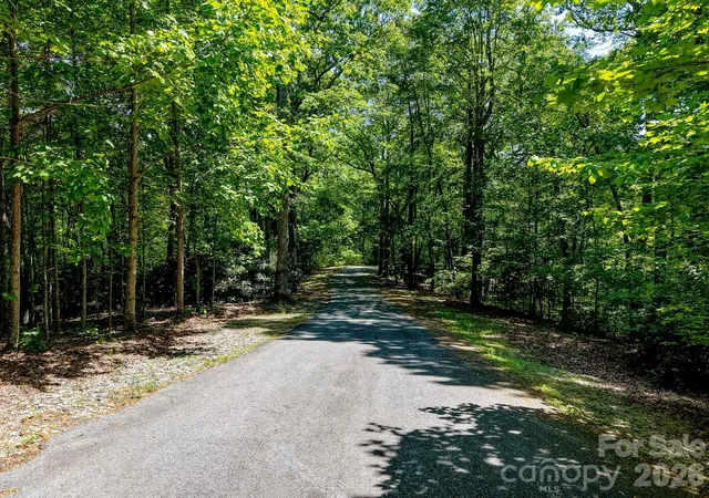 Land for sale at 99999 Black Bear Ridge Trl, Zirconia, NC 28790 | MLS# 4200434