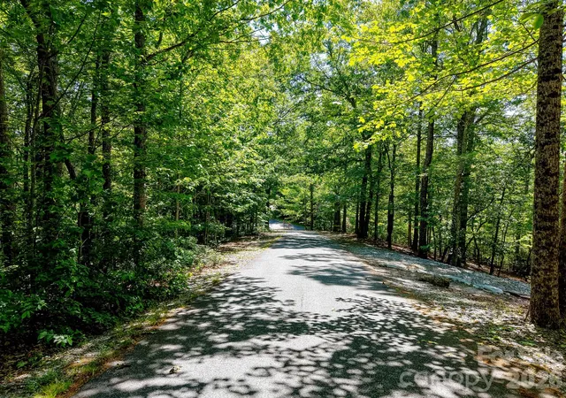Photo 2 of Land for sale at 99999 Black Bear Ridge Trl, Zirconia, NC 28790 | MLS# 4200434 | Listing updated on 2026-09-03