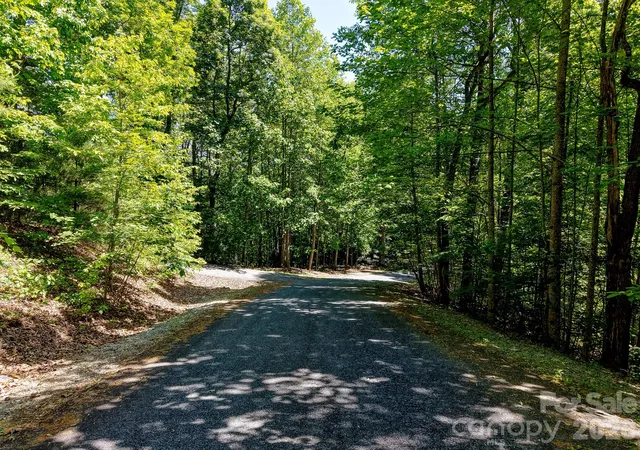 4th image of 99999 Black Bear Ridge Trl, Zirconia, NC 28790 | MLS# 4200434