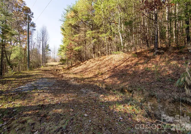 1st image of 99999 Big Raven Ln, Saluda, NC 28773 | MLS# 4200935