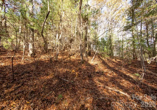 20th image of 99999 Big Raven Ln, Saluda, NC 28773 | MLS# 4200935