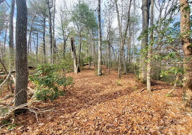 Homes for sale in Bakersville, NC | Tbd Elkins Rd #22, Bakersville, NC 28705 | MLS# 4203200