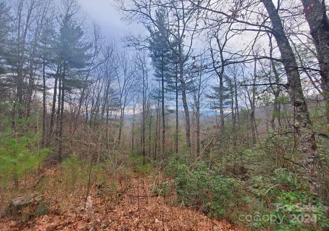 Homes for sale in Bakersville, NC | Tbd Elkins Rd #22, Bakersville, NC 28705 | MLS# 4203200