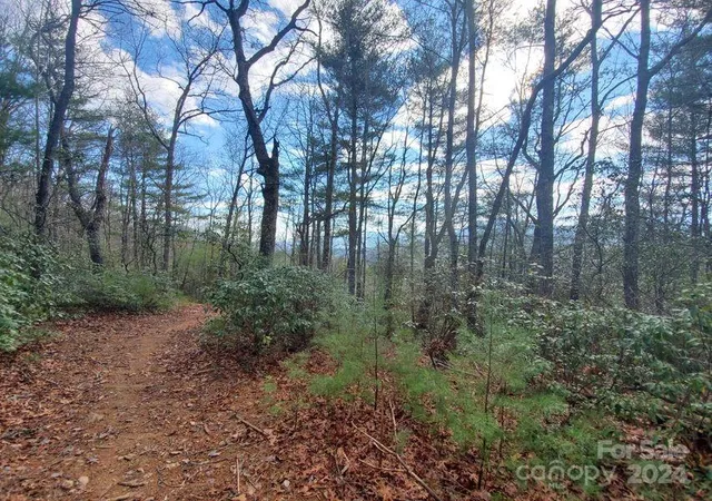Homes for sale in Bakersville, NC | Tbd Elkins Rd #22, Bakersville, NC 28705 | MLS# 4203200