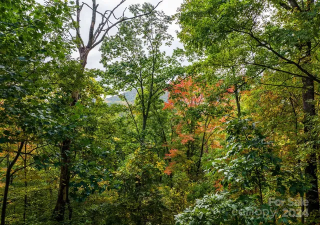 Photo 3 of Land for sale at 26 Wedgewood Ter, Black Mountain, NC 28711 | MLS# 4203559 | Listing updated on 2026-08-29