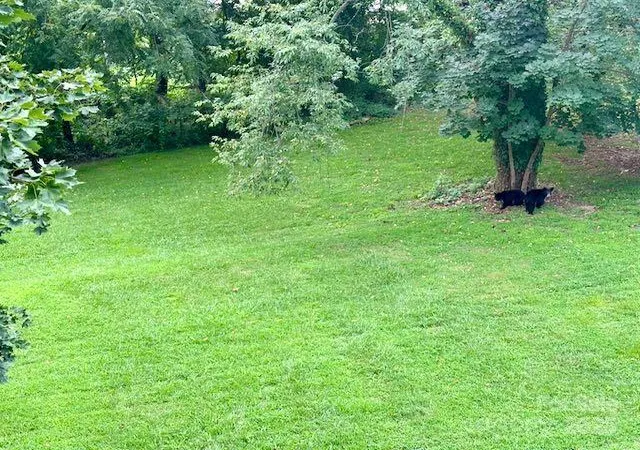 26th image of 176 S French Broad Ave, Asheville, NC 28801 | MLS# 4205647
