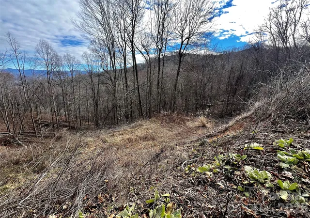 Photo 4 of Land for sale at 4 And 4b Salisbury Cvs, Waynesville, NC 28785 | MLS# 4205895 | Listing updated on 2026-08-01
