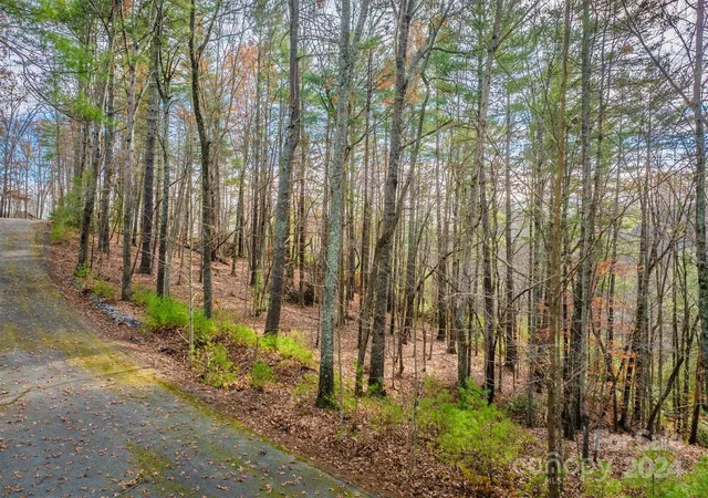 Photo 2 of Land for sale at 133 James Bob Stafford Dr, Nebo, NC 28601 | MLS# 4207127 | Listing updated on 2025-12-09