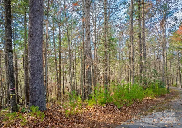 Photo 3 of Land for sale at 133 James Bob Stafford Dr, Nebo, NC 28601 | MLS# 4207127 | Listing updated on 2025-12-09