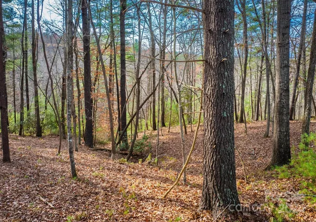 Photo 3 of Land for sale at 133 James Bob Stafford Dr, Nebo, NC 28601 | MLS# 4207127 | Listing updated on 2025-12-09