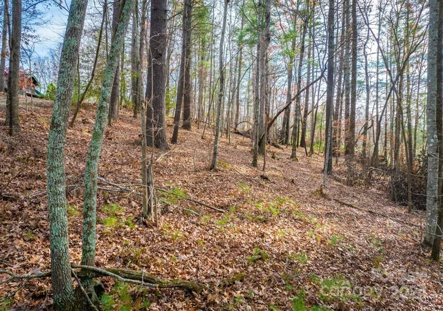 Photo 4 of Land for sale at 133 James Bob Stafford Dr, Nebo, NC 28601 | MLS# 4207127 | Listing updated on 2025-12-09
