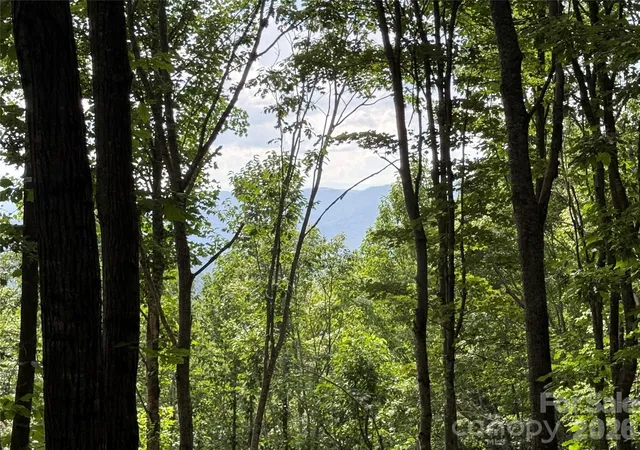 Photo 1 of Land for sale at 146 E Clubhouse Rd #99, Sylva, NC 28779 | MLS# 4207839 | Listing updated on 2026-07-21