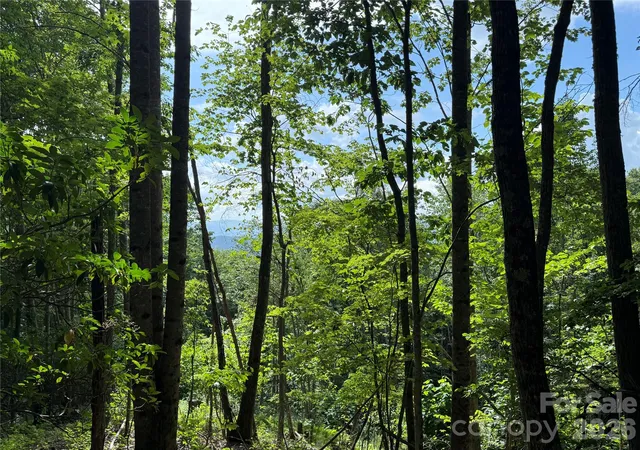 Photo 3 of Land for sale at 146 E Clubhouse Rd #99, Sylva, NC 28779 | MLS# 4207839 | Listing updated on 2026-07-21