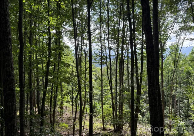 Photo 4 of Land for sale at 146 E Clubhouse Rd #99, Sylva, NC 28779 | MLS# 4207839 | Listing updated on 2026-07-21