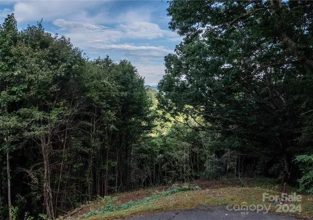 24th image of Tbd Rimesdale Way, Waynesville, NC 28785 | MLS# 4209326