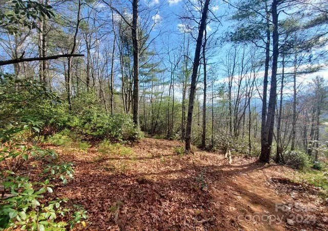Photo 3 of Land at Tbd Elkins Rd #21, Bakersville, NC 28705 | MLS# 4209387 | | Sold on 2026-03-31