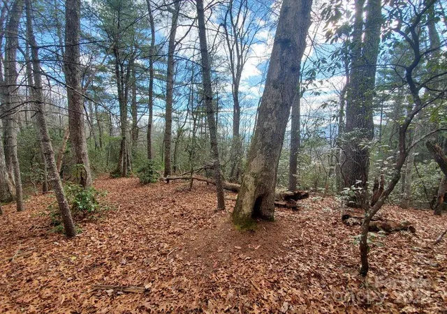 Photo 4 of Land at Tbd Elkins Rd #21, Bakersville, NC 28705 | MLS# 4209387 | | Sold on 2026-03-31