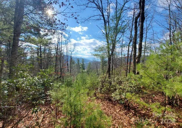 Photo 5 of Land at Tbd Elkins Rd #21, Bakersville, NC 28705 | MLS# 4209387 | | Sold on 2026-03-31
