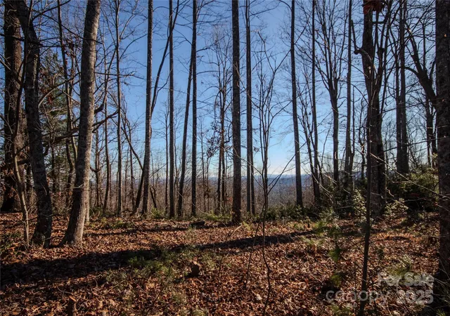 14th image of 2209 Nighthawk Ridge Ct #23, Lenoir, NC 28645 | MLS# 4209720