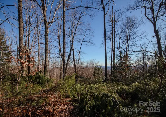 Photo 3 of Land for sale at 2209 Nighthawk Ridge Ct #23, Lenoir, NC 28645 | MLS# 4209720 | Listing updated on 2025-12-09