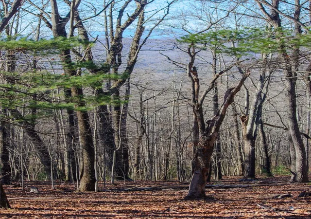 Photo 3 of Land for sale at 2210 Nighthawk Ridge Ct #28, Lenoir, NC 28645 | MLS# 4209723 | Listing updated on 2025-12-09