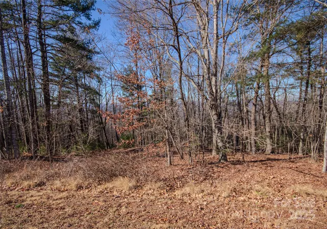 Photo 3 of Land for sale at 2210 Nighthawk Ridge Ct #28, Lenoir, NC 28645 | MLS# 4209723 | Listing updated on 2025-12-09