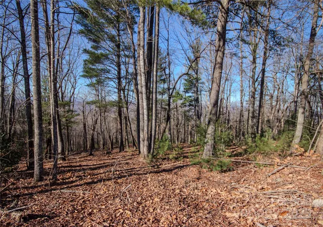 Photo 4 of Land for sale at 2210 Nighthawk Ridge Ct #28, Lenoir, NC 28645 | MLS# 4209723 | Listing updated on 2025-12-09