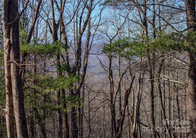 10th image of 2210 Nighthawk Ridge Ct #28, Lenoir, NC 28645 | MLS# 4209723