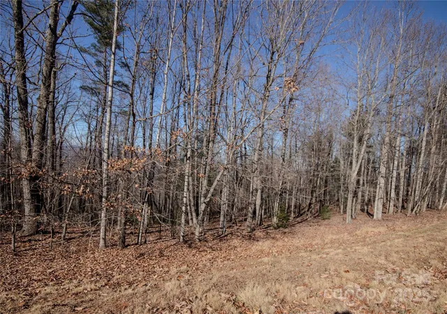 11th image of 2212 Nighthawk Ridge Ct #29, Lenoir, NC 28645 | MLS# 4209728